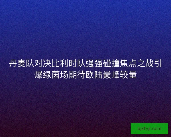 丹麦队对决比利时队强强碰撞焦点之战引爆绿茵场期待欧陆巅峰较量